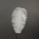 B806--W #3 shopify:43684649500923