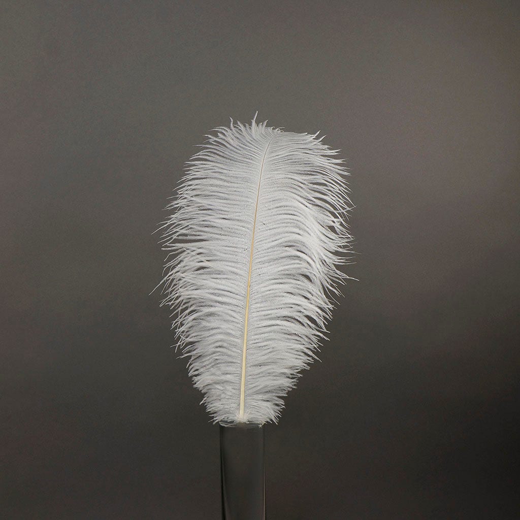 B806--W #4 shopify:43684649926907