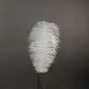 B806--W #4 shopify:43684649926907