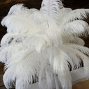 B806--W #5 shopify:43684651270395