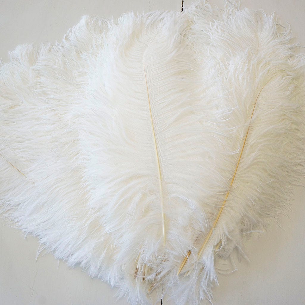 B806--W #6 shopify:43684651794683
