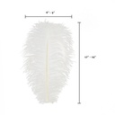 B806--W #7 shopify:43684652253435