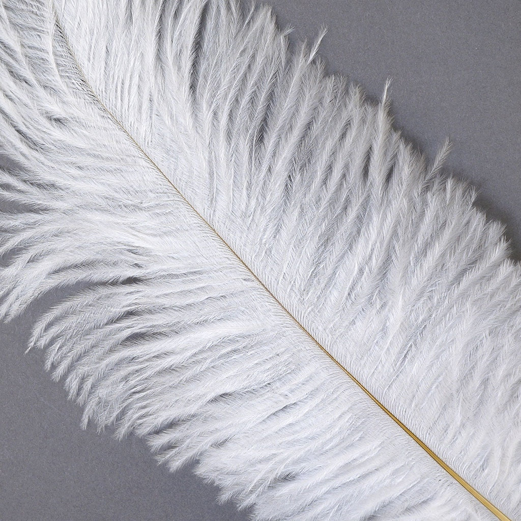 B806--W #9 shopify:43684653924603