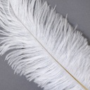 B806--W #9 shopify:43684653924603