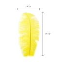 B806--Y #5 shopify:43693703561467
