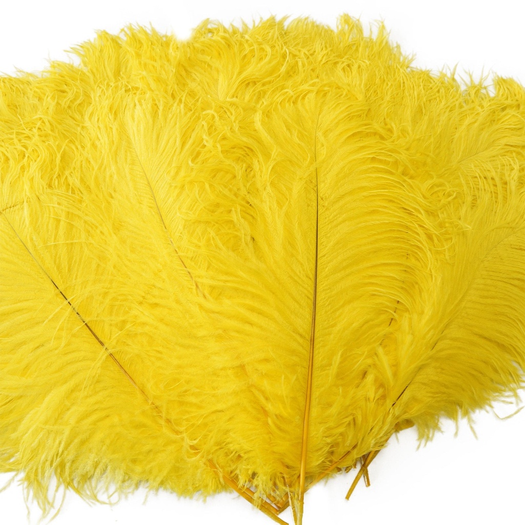 B806--Y #6 shopify:43693704085755