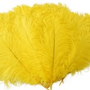 B806--Y #6 shopify:43693704085755