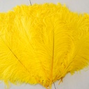 B806--Y #8 shopify:43693706674427