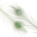 P40B--CD #3 shopify:43686573015291