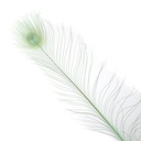 P40B--CD #4 shopify:43686573375739