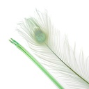 P40B--CD #5 shopify:43686573998331