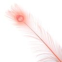 P40B--CO #4 shopify:43686576193787