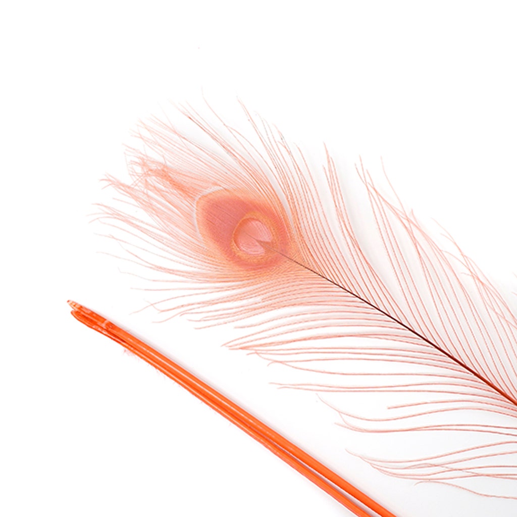 P40B--CO #5 shopify:43686576619771