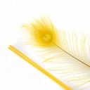 P40B--GO #5 shopify:43686594248955