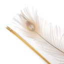 P40B--IRS #5 shopify:43686597001467