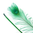 P40B--K #5 shopify:43686601621755