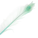 P40B--LT #4 shopify:43694228472059