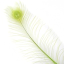 P40B--LM #4 shopify:43686603555067