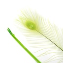 P40B--LM #5 shopify:43686603718907
