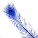 P40B--RL #4 shopify:43686617448699