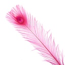 P40B--SP #4 shopify:43686619840763