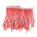 FCQND12--CO #3 shopify:43688965112059