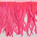 FCQND12--PO #2 shopify:45988870947067