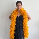5-SF60--MGD #2 shopify:46636776816891