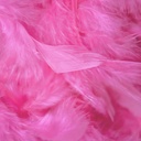 5-SF60--PO #7 shopify:43683881877755