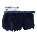 FPP6--NY #4 shopify:43689224995067