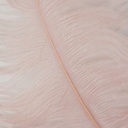 B825--CHP #2 shopify:43693796917499