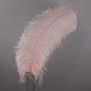 B825--CHP #5 shopify:43693799178491
