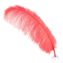 B825--CO #2 shopify:43693684621563