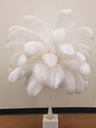 B825--DKT #4 shopify:43693692322043