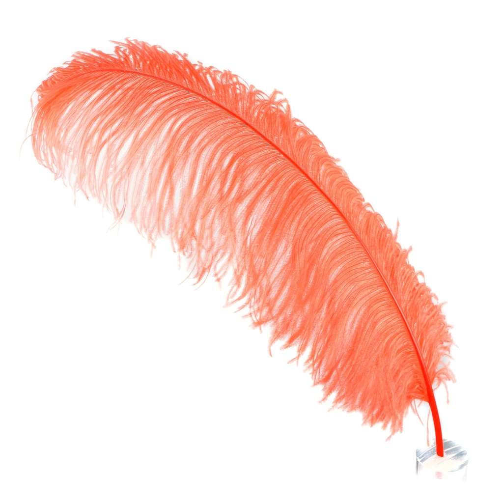 B825--HO #3 shopify:43693825949947