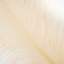 B825--IV #2 shopify:43693687111931