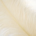 B825--IV #5 shopify:43693689438459