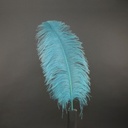 B825--LT #4 shopify:43693740359931