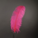 B825--PO #4 shopify:43693778338043