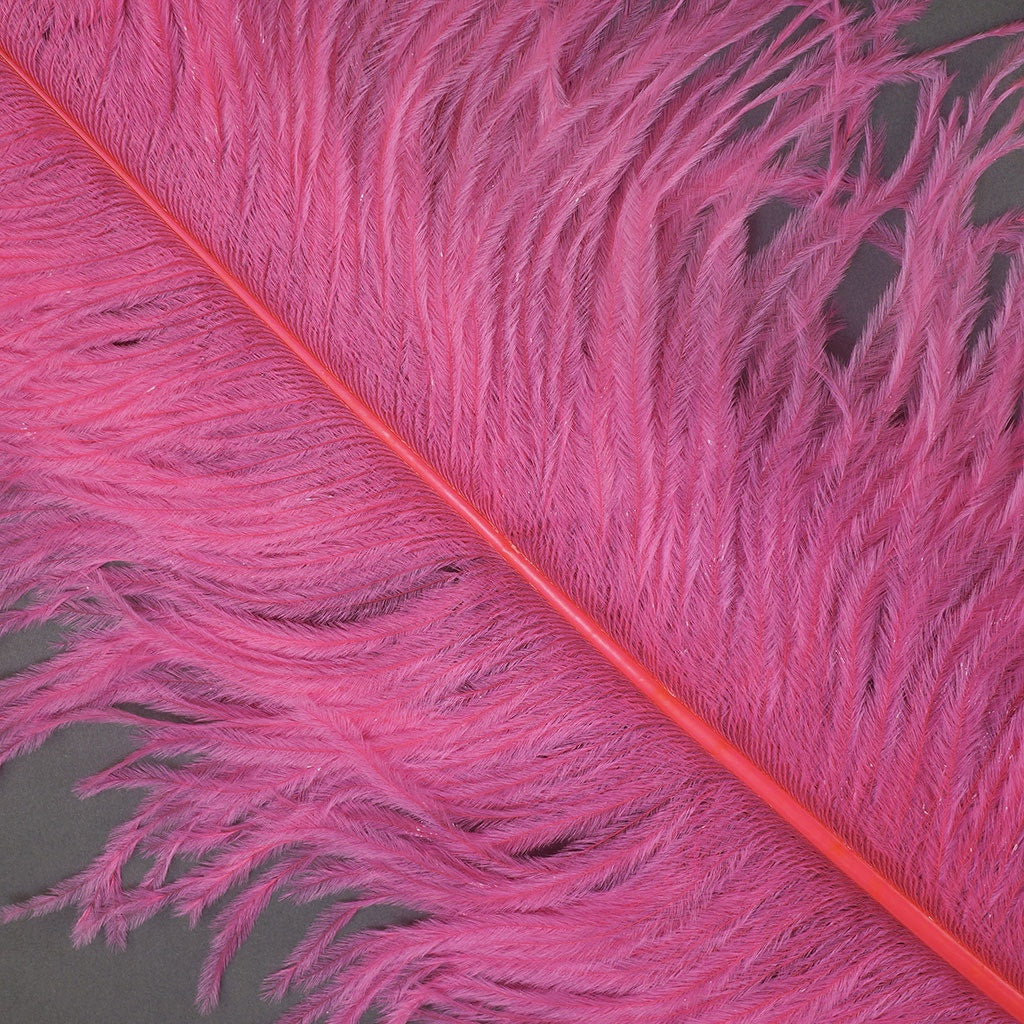 B825--PO #5 shopify:43693779124475