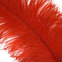 B825--R #7 shopify:43684672798971