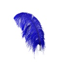 B825--RE #4 shopify:43693763952891