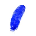 B825--RL #4 shopify:43693794459899