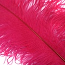B825--SP #2 shopify:43693756514555