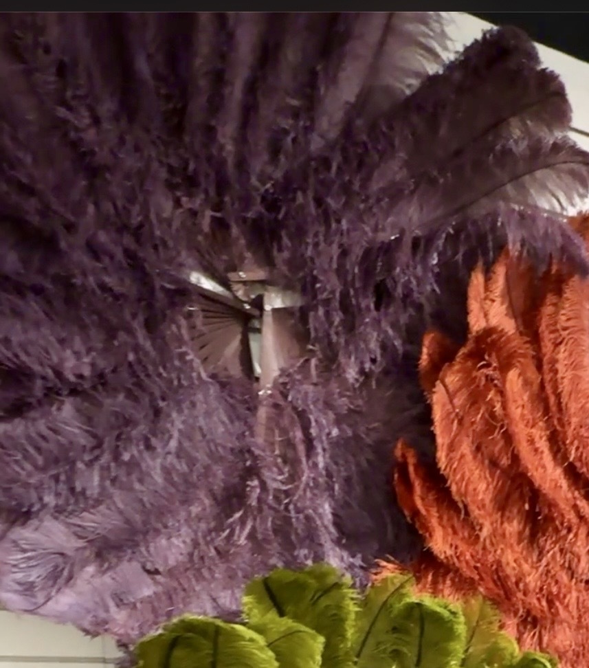 Ostrich Prime Quality Fan Right Facing 24 x 42 inch --Amethyst