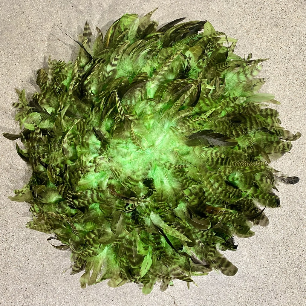 Rooster Coque Striped Juju Inspired 16 inch Base --Lime