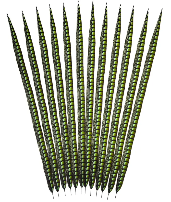 Faux Lady Amherst Tails 39 inch 1PC  --Lime