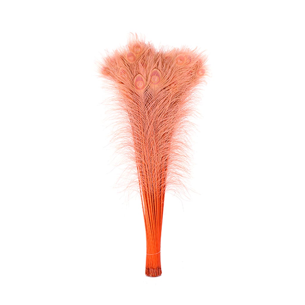 Peacock Eyes Bleach Selected 25-40 inch --Coral