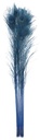 Peacock Eyes Bleach Selected 25-40 inch --Dark Turquoise