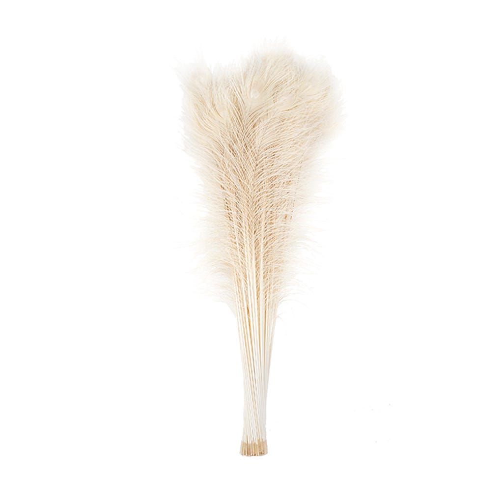 Peacock Eyes Bleach Selected 25-40 inch --Ivory